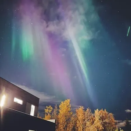 Central Apartment With Free Parking Near Ski Trail Tromso Exterior photo